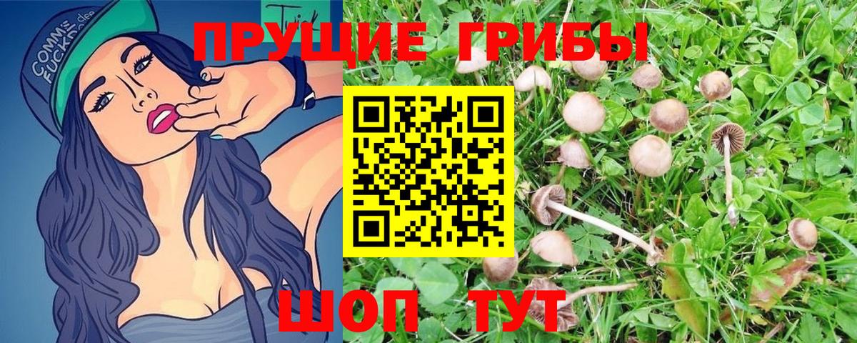 Галлюциногенные грибы MAGIC MUSHROOMS  Псилоцибиновые грибы прущие грибы  Канаш  Вход с VPN 